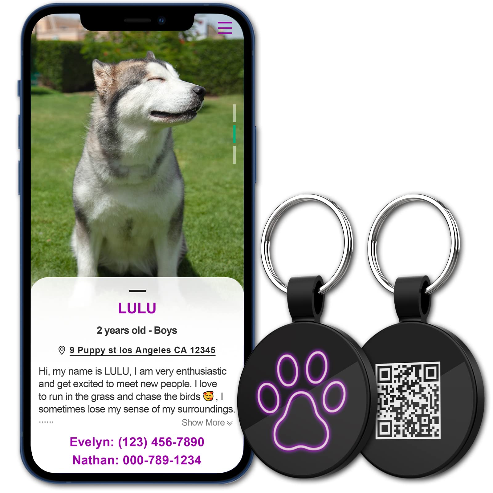 Pay money To my Pain Dog Tag ドッグタグ money Dog ドッグタグ To Pain Tag my Pay